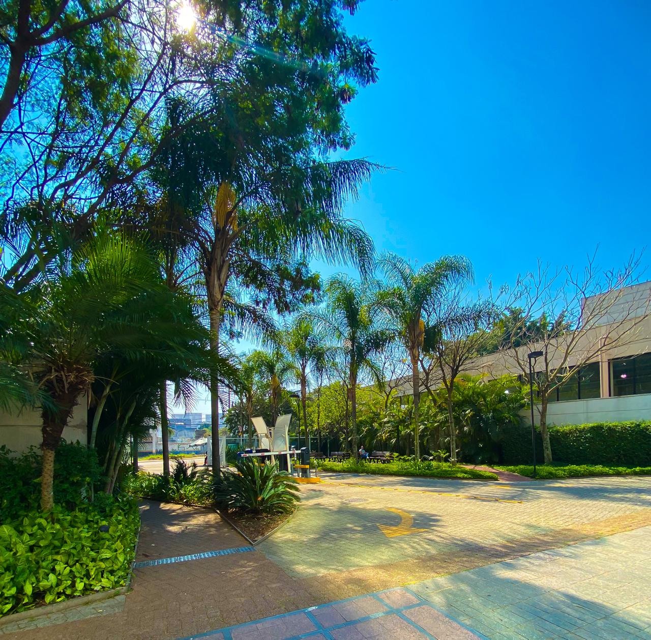 WhatsApp Image 2025-02-06 at 16.24.38.jpeg